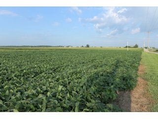 Union County, Indiana Farmland - REAL ESTATE AUCTION - 805+/- ACRES IN 11 TRACTS IN UNION COUNTY, INDIANA