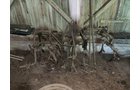 Property photo 170 - PERSONAL PROPERTY AUCTION IN ALLEN COUNTY, INDIANA