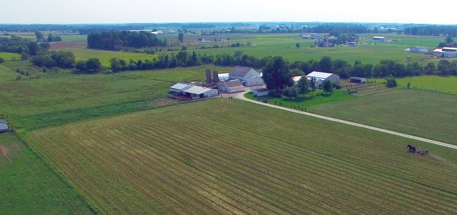 FARMSTEAD AUCTION - 41+/- ACRES IN 4 TRACTS IN ALLEN COUNTY, INDIANA