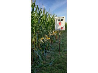 Delaware County, IN farmland - IMPORTANT LAND AUCTION - 492.5+/- ACRES OFFERED IN 14 TRACTS IN DELAWARE COUNTY, INDIANA