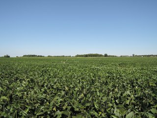 Delaware County, IN farmland - IMPORTANT LAND AUCTION - 492.5+/- ACRES OFFERED IN 14 TRACTS IN DELAWARE COUNTY, INDIANA