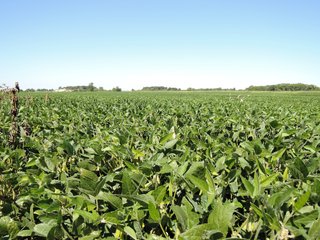 Delaware County, IN farmland - IMPORTANT LAND AUCTION - 492.5+/- ACRES OFFERED IN 14 TRACTS IN DELAWARE COUNTY, INDIANA