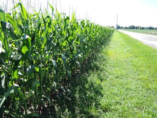 Tract 7 - Delaware County, IN farmland - IMPORTANT LAND AUCTION - 492.5+/- ACRES OFFERED IN 14 TRACTS IN DELAWARE COUNTY, INDIANA