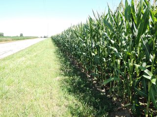 Tract 7 - Delaware County, IN farmland - IMPORTANT LAND AUCTION - 492.5+/- ACRES OFFERED IN 14 TRACTS IN DELAWARE COUNTY, INDIANA