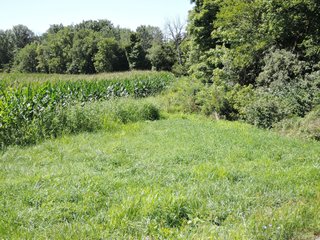 Delaware County, IN farmland - IMPORTANT LAND AUCTION - 492.5+/- ACRES OFFERED IN 14 TRACTS IN DELAWARE COUNTY, INDIANA