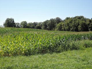 Delaware County, IN farmland - IMPORTANT LAND AUCTION - 492.5+/- ACRES OFFERED IN 14 TRACTS IN DELAWARE COUNTY, INDIANA