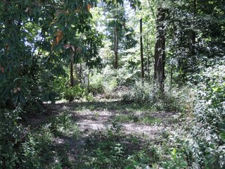 Delaware County, IN farmland - IMPORTANT LAND AUCTION - 492.5+/- ACRES OFFERED IN 14 TRACTS IN DELAWARE COUNTY, INDIANA