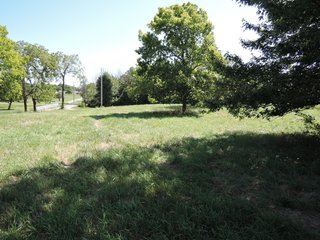 Delaware County, IN farmland - IMPORTANT LAND AUCTION - 492.5+/- ACRES OFFERED IN 14 TRACTS IN DELAWARE COUNTY, INDIANA