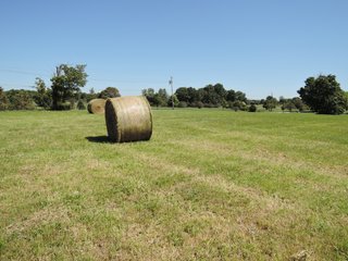 Delaware County, IN farmland - IMPORTANT LAND AUCTION - 492.5+/- ACRES OFFERED IN 14 TRACTS IN DELAWARE COUNTY, INDIANA