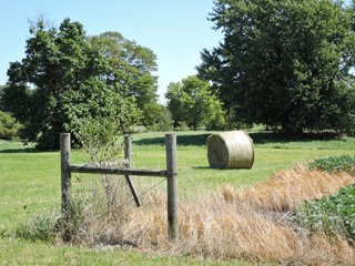 Tract 13 - Delaware County, IN farmland - IMPORTANT LAND AUCTION - 492.5+/- ACRES OFFERED IN 14 TRACTS IN DELAWARE COUNTY, INDIANA