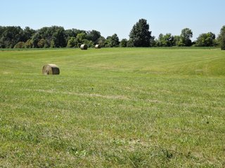 Delaware County, IN farmland - IMPORTANT LAND AUCTION - 492.5+/- ACRES OFFERED IN 14 TRACTS IN DELAWARE COUNTY, INDIANA