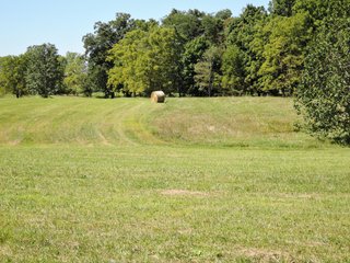 Delaware County, IN farmland - IMPORTANT LAND AUCTION - 492.5+/- ACRES OFFERED IN 14 TRACTS IN DELAWARE COUNTY, INDIANA