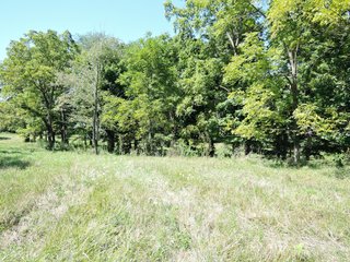 Delaware County, IN farmland - IMPORTANT LAND AUCTION - 492.5+/- ACRES OFFERED IN 14 TRACTS IN DELAWARE COUNTY, INDIANA