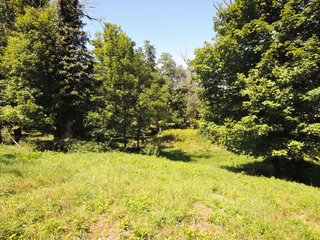 Tract 12 - Delaware County, IN farmland - IMPORTANT LAND AUCTION - 492.5+/- ACRES OFFERED IN 14 TRACTS IN DELAWARE COUNTY, INDIANA