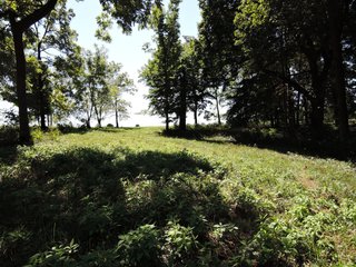 Delaware County, IN farmland - IMPORTANT LAND AUCTION - 492.5+/- ACRES OFFERED IN 14 TRACTS IN DELAWARE COUNTY, INDIANA