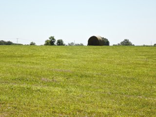 Delaware County, IN farmland - IMPORTANT LAND AUCTION - 492.5+/- ACRES OFFERED IN 14 TRACTS IN DELAWARE COUNTY, INDIANA