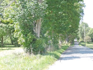 Delaware County, IN farmland - IMPORTANT LAND AUCTION - 492.5+/- ACRES OFFERED IN 14 TRACTS IN DELAWARE COUNTY, INDIANA