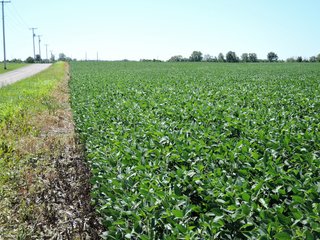 Delaware County, IN farmland - IMPORTANT LAND AUCTION - 492.5+/- ACRES OFFERED IN 14 TRACTS IN DELAWARE COUNTY, INDIANA