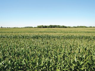 Property photo 13 - IMPORTANT LAND AUCTION - 492.5+/- ACRES OFFERED IN 14 TRACTS IN DELAWARE COUNTY, INDIANA