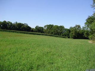 Wayne, County Indiana farmland - LAND AUCTION - 85.7+/- ACRES OFFERED IN 3 TRACTS IN WAYNE COUNTY, INDIANA
