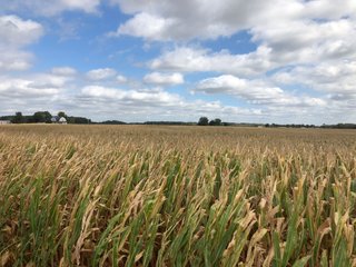 Henry County, Indiana farmland - QUALITY LAND AUCTION - 159+/- ACRES OFFERED IN 3 TRACTS IN HENRY COUNTY, INDIANA