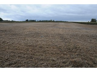 Van Buren County, Michigan Farmland - LAND AUCTION - 300+/- ACRES SPECIALTY CROP - GRAPES AND HOPS - OFFERED IN 8 TRACTS IN VAN BUREN COUNTY, MICHIGAN