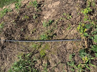 Van Buren County, Michigan Farmland - LAND AUCTION - 300+/- ACRES SPECIALTY CROP - GRAPES AND HOPS - OFFERED IN 8 TRACTS IN VAN BUREN COUNTY, MICHIGAN