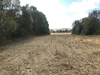 LaGrange County, Indiana farmland - LAND AUCTION - 160+/- ACRES OFFERED IN 9 TRACTS IN LAGRANGE COUNTY, INDIANA