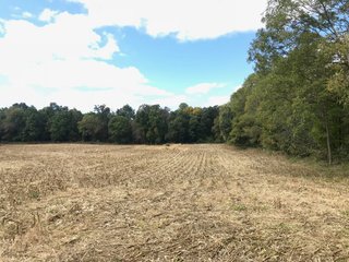 Tract 3 - LaGrange County, Indiana farmland - LAND AUCTION - 160+/- ACRES OFFERED IN 9 TRACTS IN LAGRANGE COUNTY, INDIANA