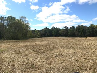 LaGrange County, Indiana farmland - LAND AUCTION - 160+/- ACRES OFFERED IN 9 TRACTS IN LAGRANGE COUNTY, INDIANA