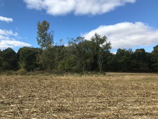 LaGrange County, Indiana farmland - LAND AUCTION - 160+/- ACRES OFFERED IN 9 TRACTS IN LAGRANGE COUNTY, INDIANA