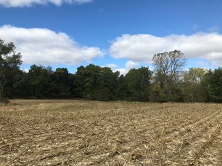 LaGrange County, Indiana farmland - LAND AUCTION - 160+/- ACRES OFFERED IN 9 TRACTS IN LAGRANGE COUNTY, INDIANA