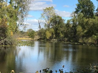 Pond on a farm in LaGrange County, Indiana - LAND AUCTION - 160+/- ACRES OFFERED IN 9 TRACTS IN LAGRANGE COUNTY, INDIANA