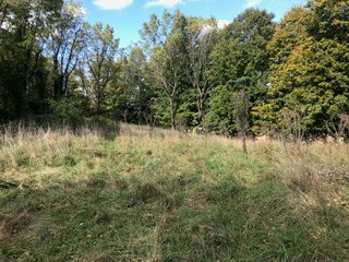 LaGrange County, Indiana farmland - LAND AUCTION - 160+/- ACRES OFFERED IN 9 TRACTS IN LAGRANGE COUNTY, INDIANA