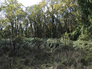 LaGrange County, Indiana farmland - LAND AUCTION - 160+/- ACRES OFFERED IN 9 TRACTS IN LAGRANGE COUNTY, INDIANA