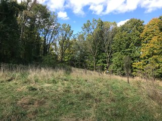 Tract 2 - LaGrange County, Indiana farmland - LAND AUCTION - 160+/- ACRES OFFERED IN 9 TRACTS IN LAGRANGE COUNTY, INDIANA