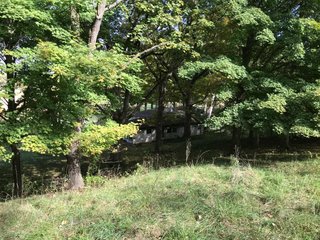 LaGrange County, Indiana farmland - LAND AUCTION - 160+/- ACRES OFFERED IN 9 TRACTS IN LAGRANGE COUNTY, INDIANA