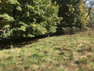LaGrange County, Indiana farmland - LAND AUCTION - 160+/- ACRES OFFERED IN 9 TRACTS IN LAGRANGE COUNTY, INDIANA