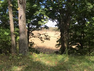 LaGrange County, Indiana farmland - LAND AUCTION - 160+/- ACRES OFFERED IN 9 TRACTS IN LAGRANGE COUNTY, INDIANA