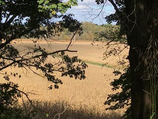 LaGrange County, Indiana farmland - LAND AUCTION - 160+/- ACRES OFFERED IN 9 TRACTS IN LAGRANGE COUNTY, INDIANA