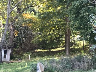 LaGrange County, Indiana farmland - LAND AUCTION - 160+/- ACRES OFFERED IN 9 TRACTS IN LAGRANGE COUNTY, INDIANA