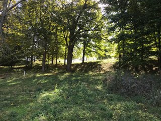 LaGrange County, Indiana farmland - LAND AUCTION - 160+/- ACRES OFFERED IN 9 TRACTS IN LAGRANGE COUNTY, INDIANA