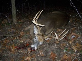 Property photo 54 - LAND AUCTION - 160+/- ACRES OFFERED IN 9 TRACTS IN LAGRANGE COUNTY, INDIANA