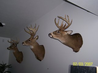 Property photo 60 - LAND AUCTION - 160+/- ACRES OFFERED IN 9 TRACTS IN LAGRANGE COUNTY, INDIANA