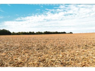 Tract 1 - White County, Indiana farmland - LAND AUCTION - 163.85+/- ACRES OFFERED IN 2 TRACTS IN WHITE COUNTY, INDIANA
