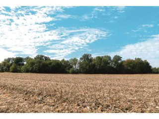 Tract 1 - White County, Indiana farmland - LAND AUCTION - 163.85+/- ACRES OFFERED IN 2 TRACTS IN WHITE COUNTY, INDIANA