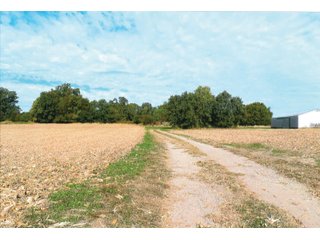 Tract 1 - White County, Indiana farmland - LAND AUCTION - 163.85+/- ACRES OFFERED IN 2 TRACTS IN WHITE COUNTY, INDIANA
