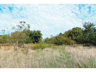 Tract 1 - White County, Indiana farmland - LAND AUCTION - 163.85+/- ACRES OFFERED IN 2 TRACTS IN WHITE COUNTY, INDIANA