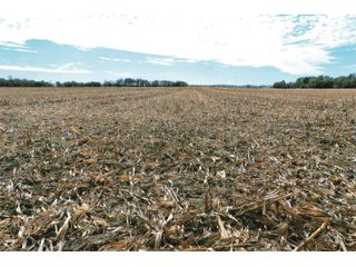 Tract 2 - White County, Indiana farmland - LAND AUCTION - 163.85+/- ACRES OFFERED IN 2 TRACTS IN WHITE COUNTY, INDIANA