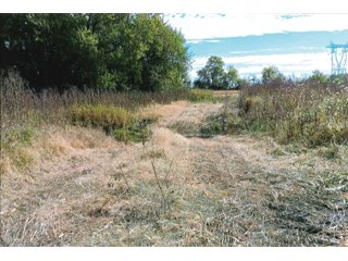 Tract 2 - White County, Indiana farmland - LAND AUCTION - 163.85+/- ACRES OFFERED IN 2 TRACTS IN WHITE COUNTY, INDIANA